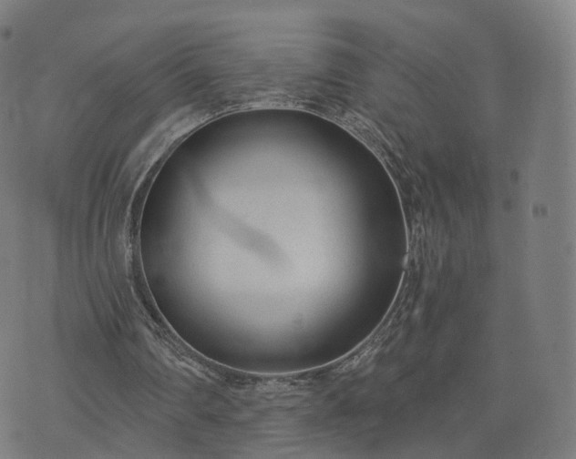 X0000074940290200609081358