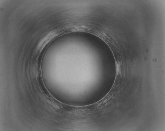 X0000074940291200609081358