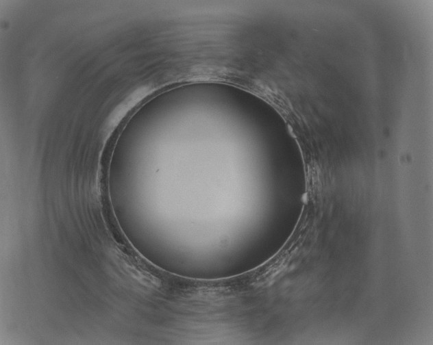 X0000074940292200609081358