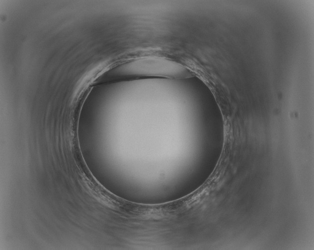 X0000074940293200609081358