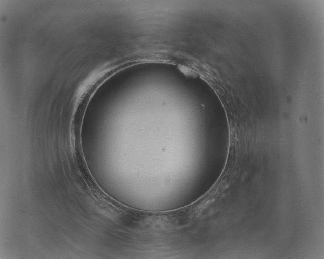 X0000074940294200609081358