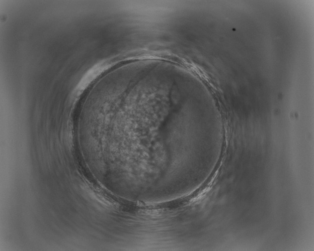 X0000074940295200609081358