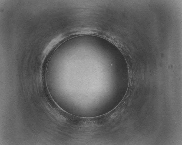 X0000074940296200609081358