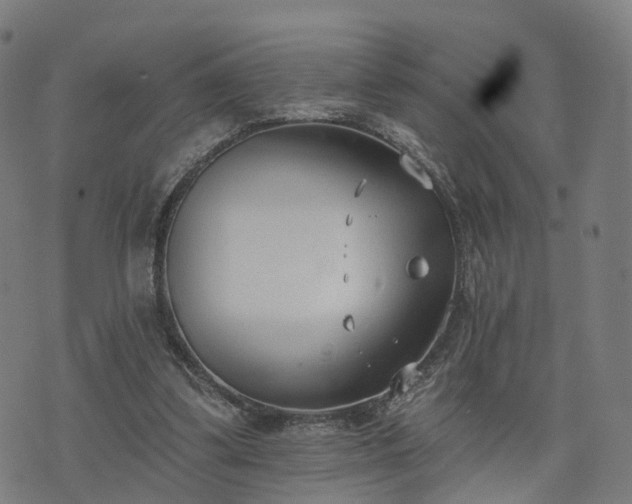 X0000074940299200609081358