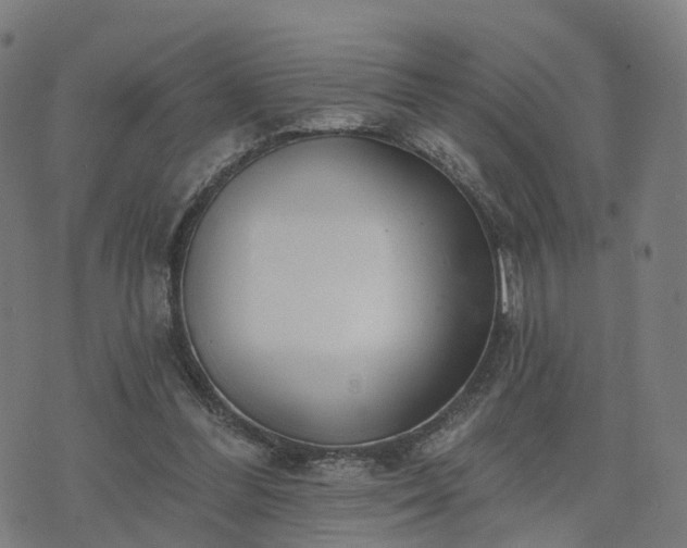 X0000074940300200609081358