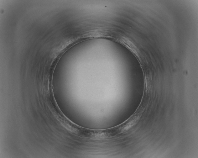 X0000074940301200609081358