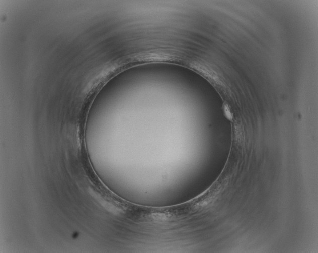 X0000074940302200609081358