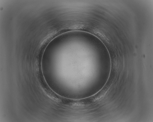 X0000074940303200609081357