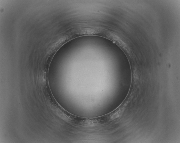 X0000074940305200609081357