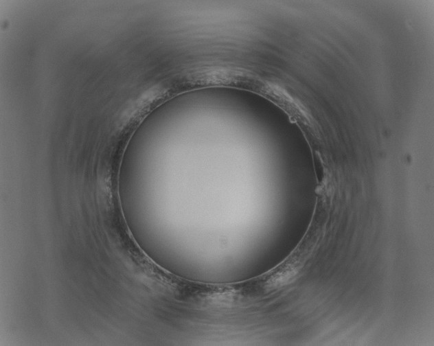 X0000074940306200609081357