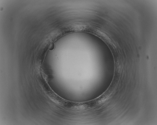 X0000074940307200609081357