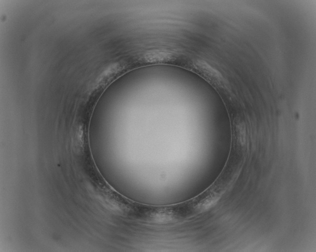 X0000074940308200609081357