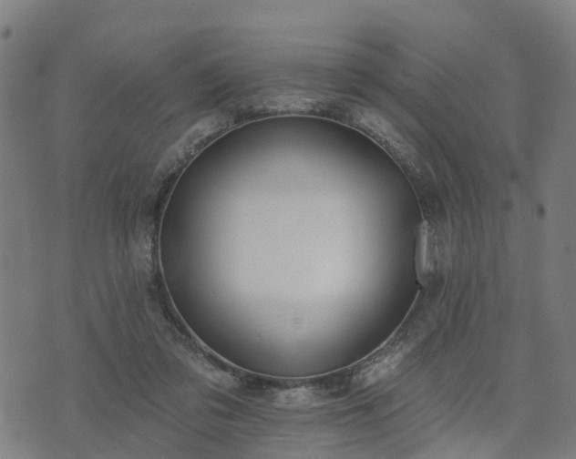 X0000074940309200609081357