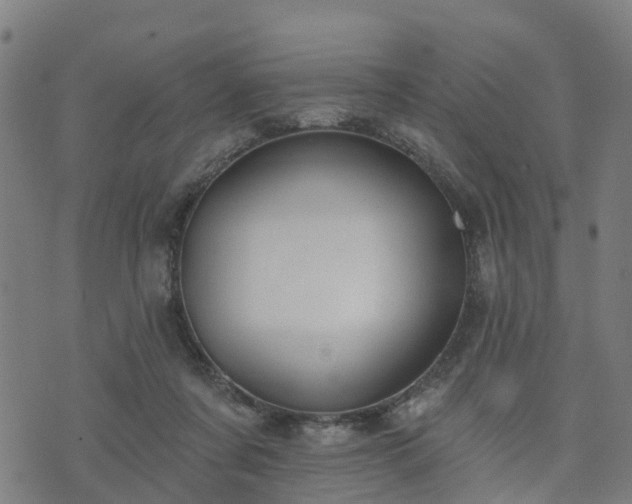 X0000074940311200609081357