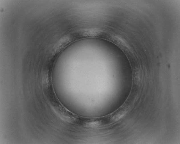 X0000074940312200609081357