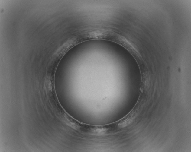 X0000074940313200609081357