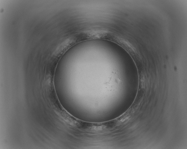 X0000074940314200609081357