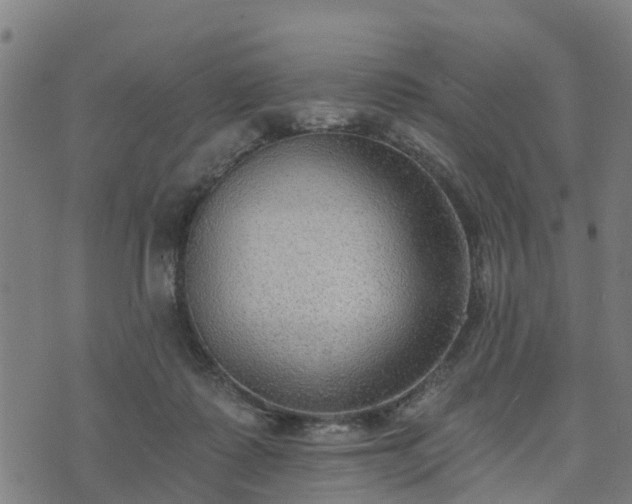 X0000074940315200609081357