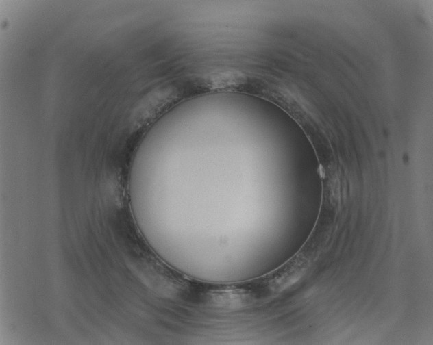 X0000074940316200609081357