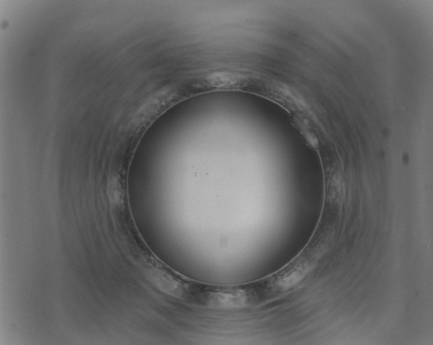 X0000074940317200609081357