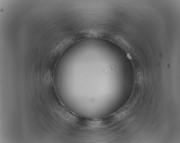 X0000074940318200609081357