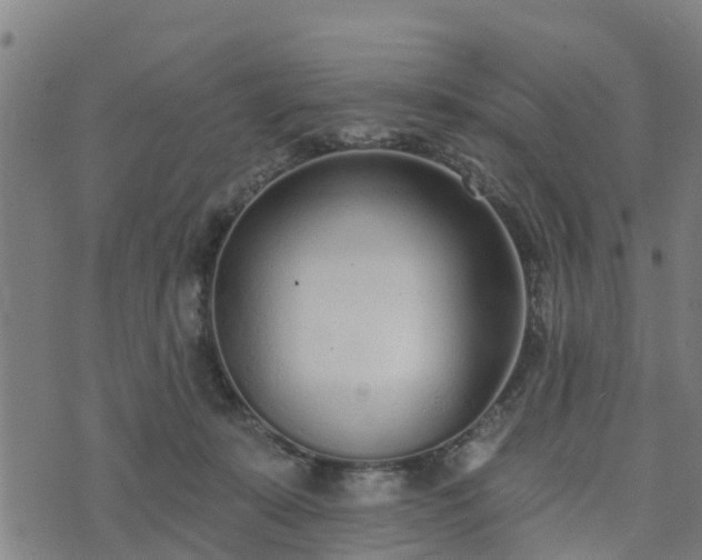 X0000074940319200609081357