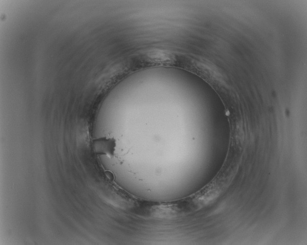 X0000074940320200609081357