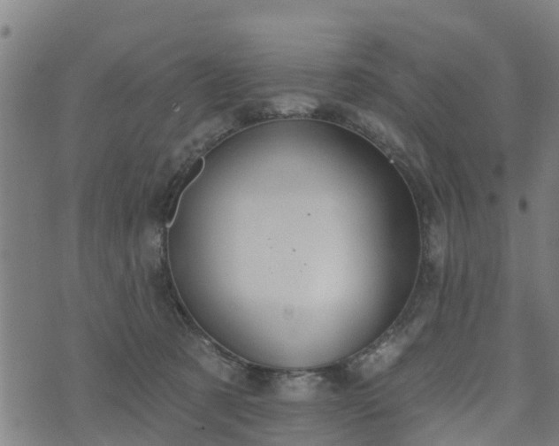 X0000074940321200609081357