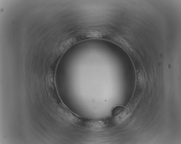 X0000074940322200609081357