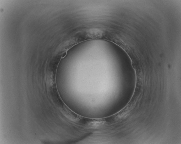 X0000074940323200609081357