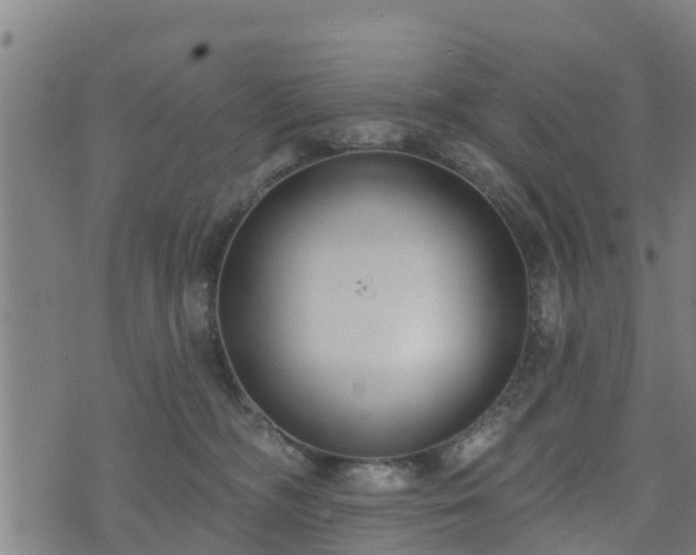 X0000074940326200609081357