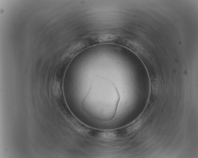 X0000074940327200609081357