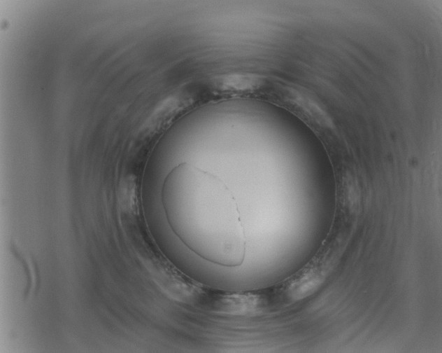 X0000074940328200609081357