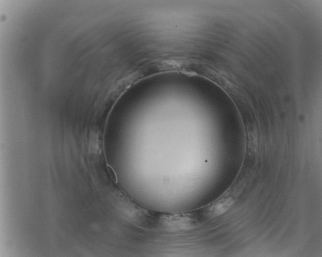 X0000074940331200609081357