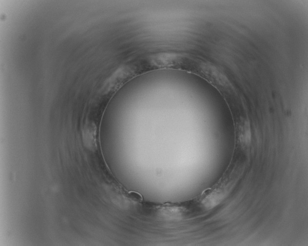 X0000074940332200609081357