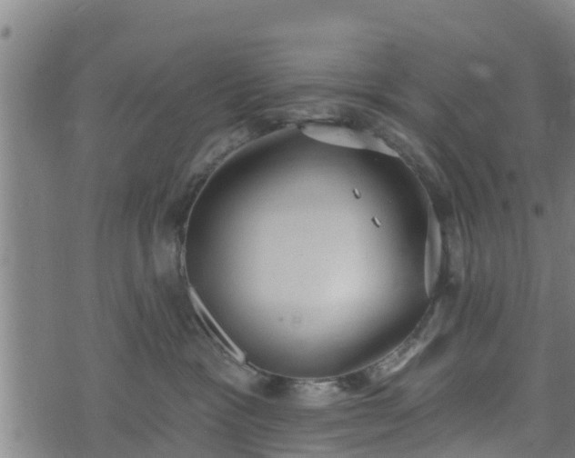 X0000074940333200609081357