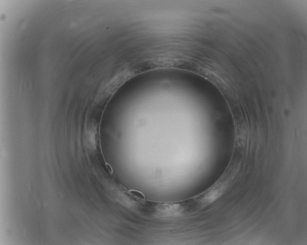 X0000074940334200609081357