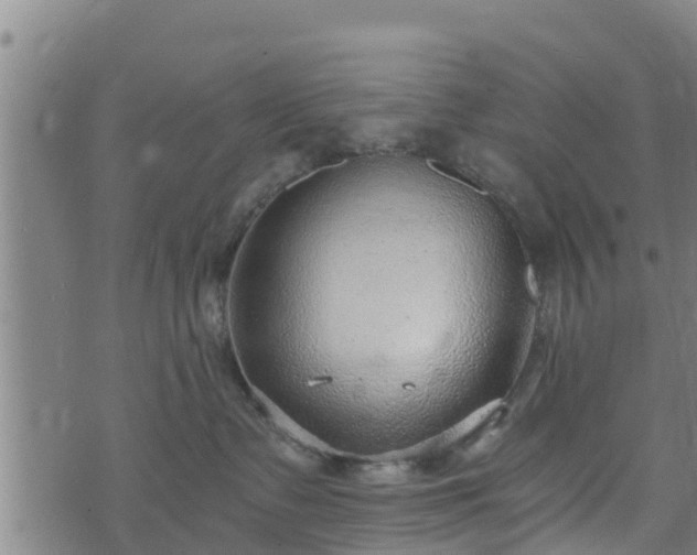 X0000074940335200609081357