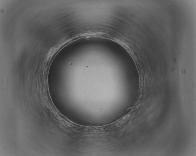 X0000074940337200609081356