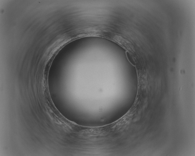 X0000074940338200609081356