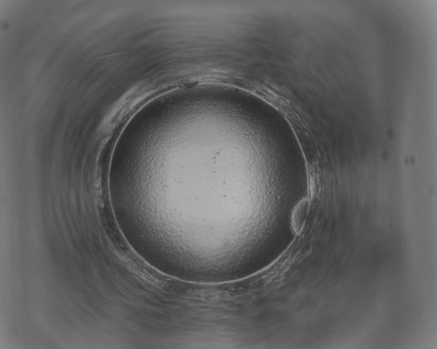 X0000074940339200609081356