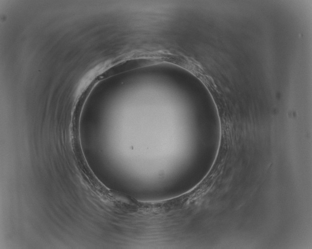 X0000074940340200609081356