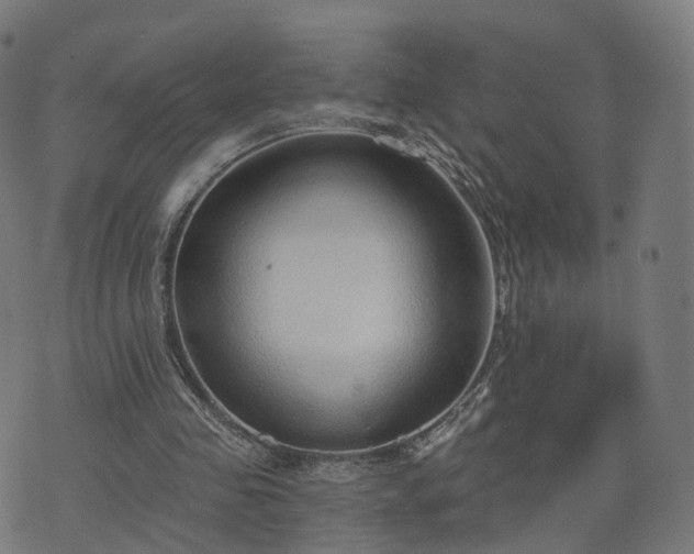 X0000074940341200609081356