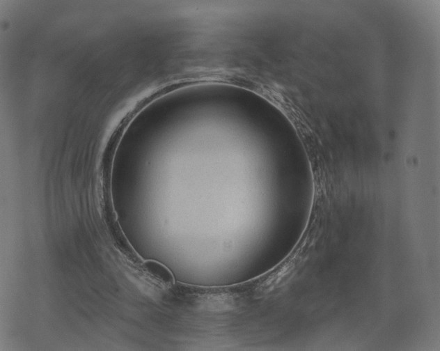 X0000074940342200609081356