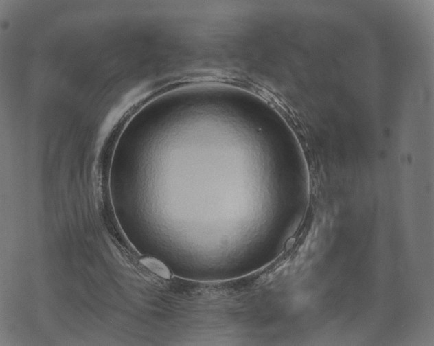 X0000074940343200609081356