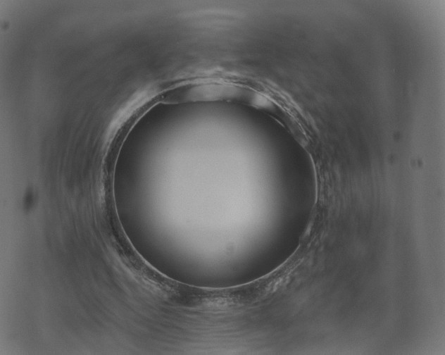 X0000074940344200609081356