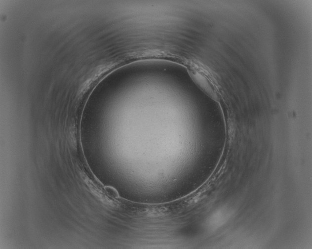 X0000074940345200609081356