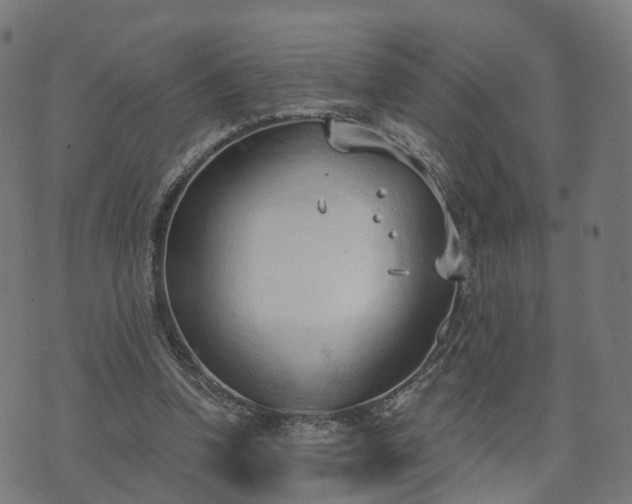 X0000074940346200609081356