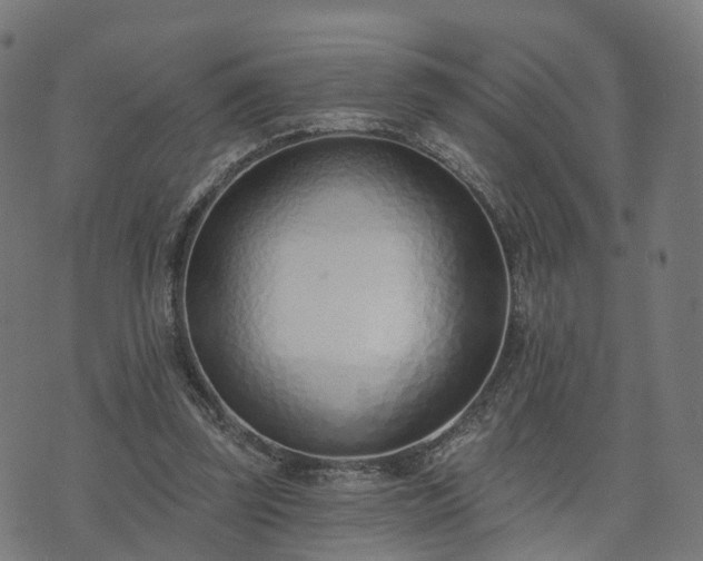 X0000074940347200609081356