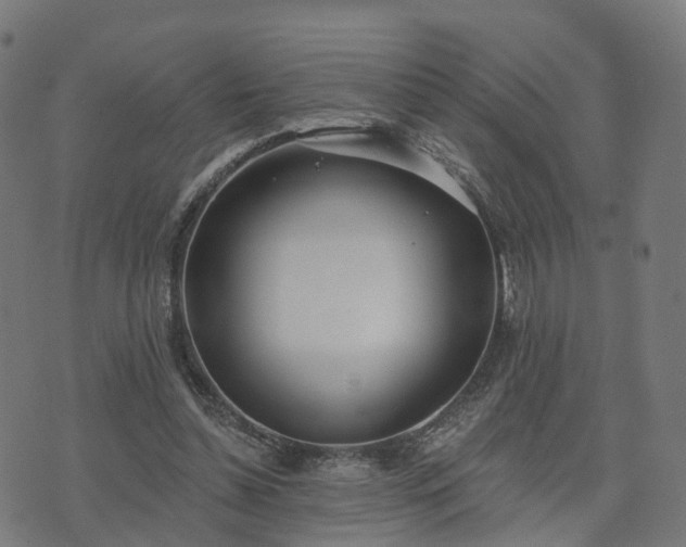 X0000074940348200609081356